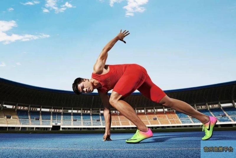 常规赛12月31日：辽宁本钢VS上海久事 集锦