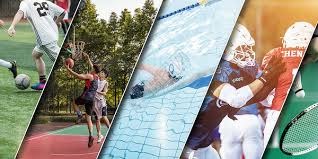 乒乓球：樊振东横扫奥恰洛夫